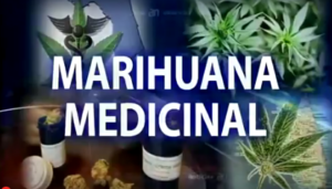 Madre pide marihuana para su hijo – América TeVé